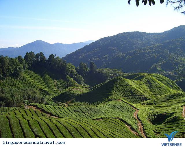 Những điểm tham quan nổi bật của đất nước Malaysia - Ảnh 7 Những điểm tham quan nổi bật của đất nước Malaysia - Ảnh 7