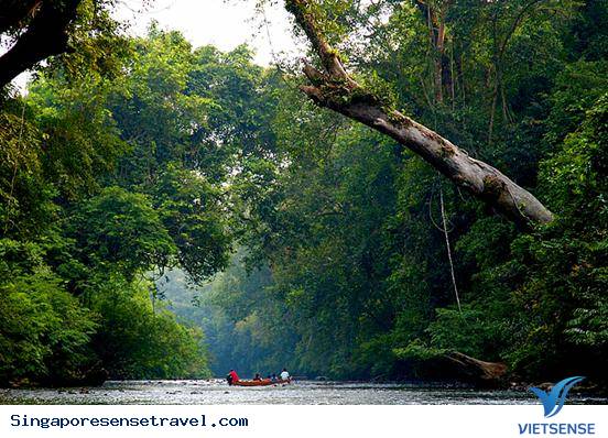 Những điểm tham quan nổi bật của đất nước Malaysia - Ảnh 2 Những điểm tham quan nổi bật của đất nước Malaysia - Ảnh 2