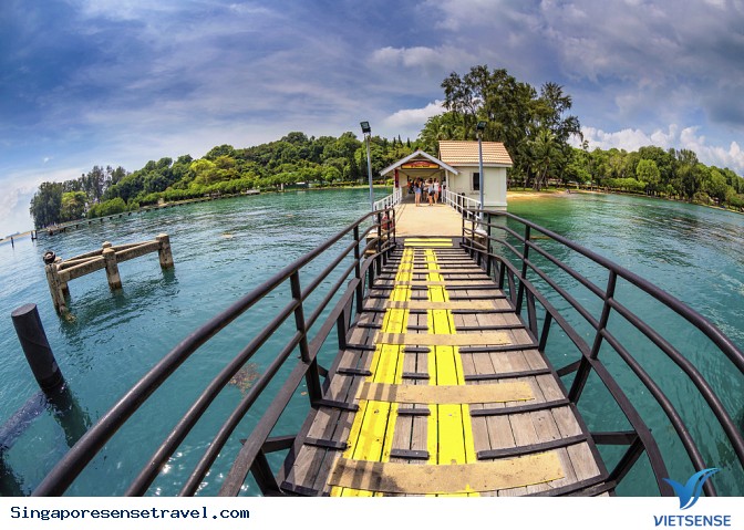 Những điều mới lạ nên thử qua khi tới Singapore - Ảnh 2