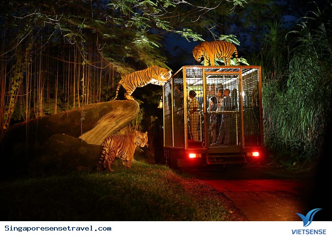 Vườn thú đêm đầu tiên trên thế giới