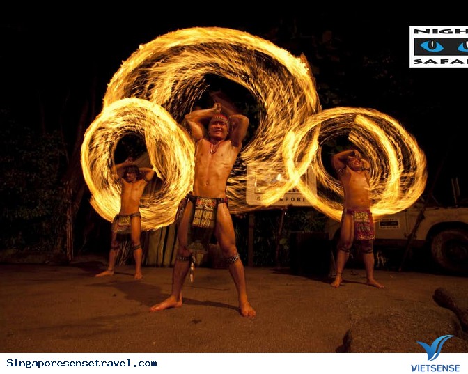 Night Safari - Ảnh 3 Night Safari - Ảnh 3