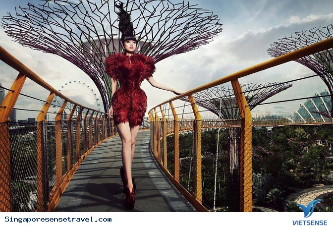 OCBC Skyway ở Singapore - Ảnh 1