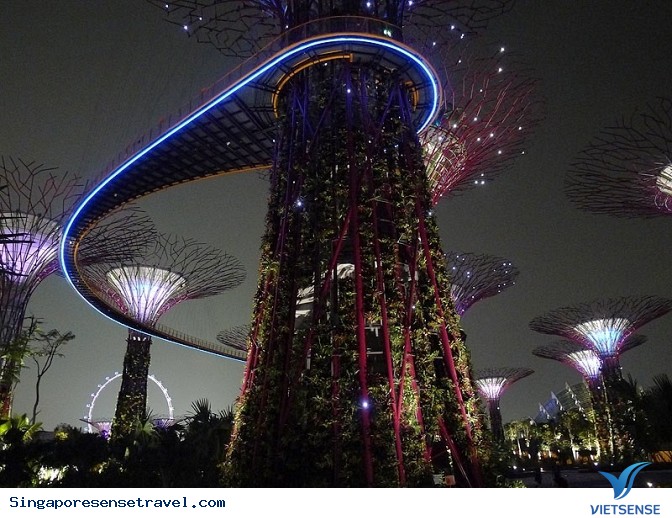 OCBC Skyway ở Singapore - Ảnh 2