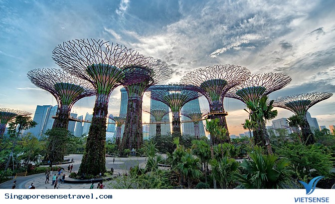 Phần 2: Tự tin khám phá Singapore trong 4 ngày - Ảnh 4