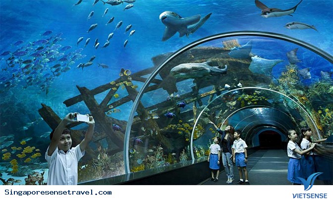 Phần cuối: Du hý dọc ngang Singapore với 5 triệu - Ảnh 6 Phần cuối: Du hý dọc ngang Singapore với 5 triệu - Ảnh 6