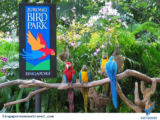 Singapore có gì chơi? - Ảnh 2 Singapore có gì chơi? - Ảnh 2
