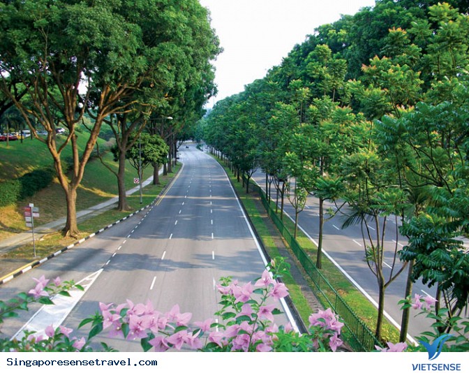 Singapore phủ xanh toàn bộ đất nước - Ảnh 2 Singapore phủ xanh toàn bộ đất nước - Ảnh 2