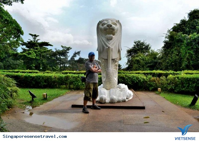 Số lượng tượng sư tử mình cá tại Singapore - Ảnh 3 Số lượng tượng sư tử mình cá tại Singapore - Ảnh 3