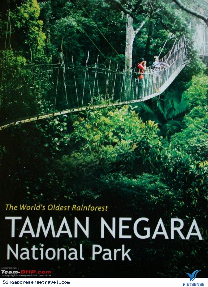 Taman Negara - vườn quốc gia của Malaysia - Ảnh 1 Taman Negara - vườn quốc gia của Malaysia - Ảnh 1