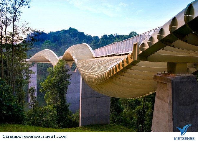 Tới Singapore ghé thăm cây cầu kì lạ nhất thế giới - Ảnh 1