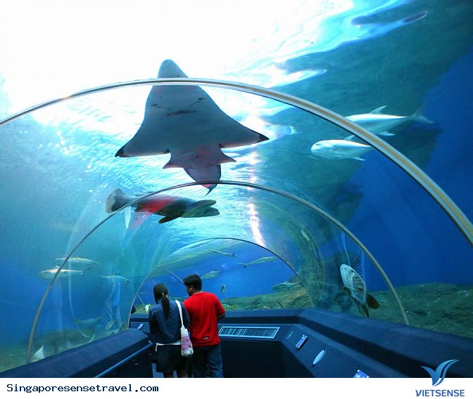 Tổng quan về đảo Langkawi ở Malaysia - Ảnh 8 Tổng quan về đảo Langkawi ở Malaysia - Ảnh 8