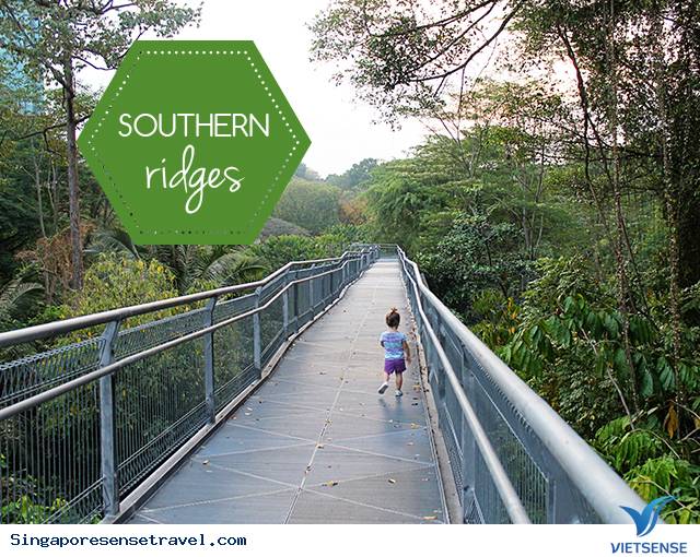 Dạo mát tản bộ xung quanh Southern Ridges Dạo mát tản bộ xung quanh Southern Ridges