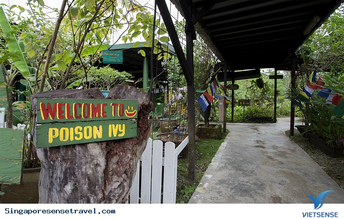 Vui chơi trong thế giới ẩm thực của Singapore - Ảnh 7 Vui chơi trong thế giới ẩm thực của Singapore - Ảnh 7