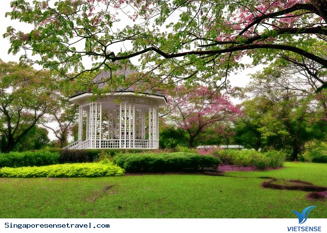 Vườn Bách Thảo Singapore - Ảnh 2 Vườn Bách Thảo Singapore - Ảnh 2