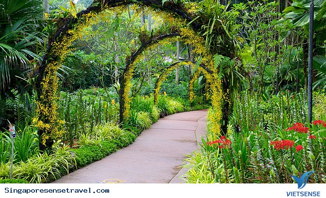 Vườn Bách Thảo Singapore - Ảnh 3 Vườn Bách Thảo Singapore - Ảnh 3
