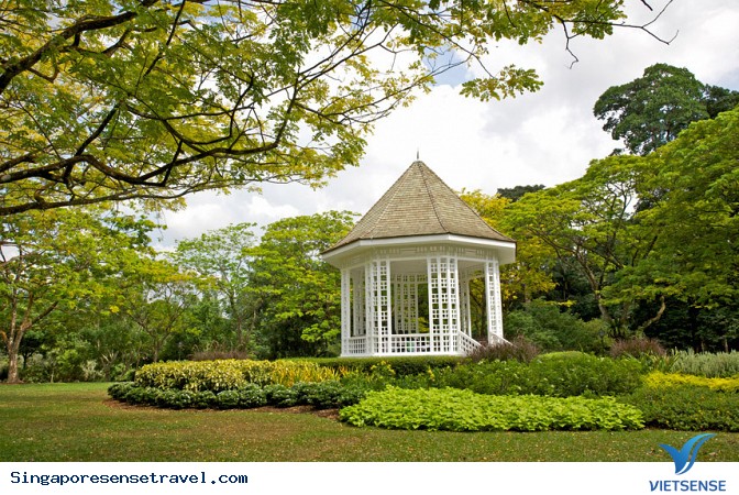 Vườn nhiệt đới Singapore được công nhận di sản thế giới - Ảnh 4 Vườn nhiệt đới Singapore được công nhận di sản thế giới - Ảnh 4