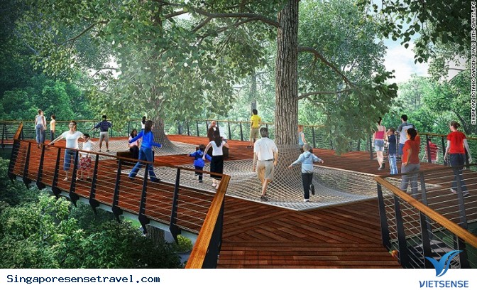 Vườn nhiệt đới Singapore được công nhận di sản thế giới - Ảnh 5 Vườn nhiệt đới Singapore được công nhận di sản thế giới - Ảnh 5
