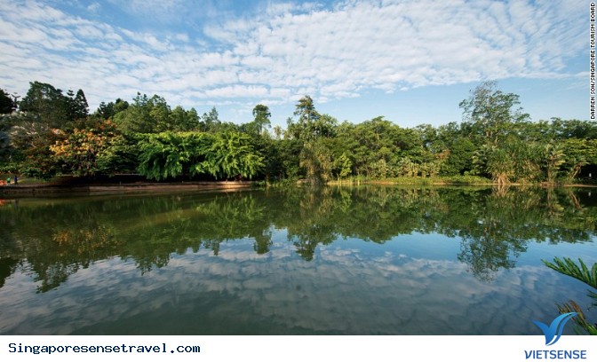 Vườn nhiệt đới Singapore được công nhận di sản thế giới - Ảnh 2 Vườn nhiệt đới Singapore được công nhận di sản thế giới - Ảnh 2