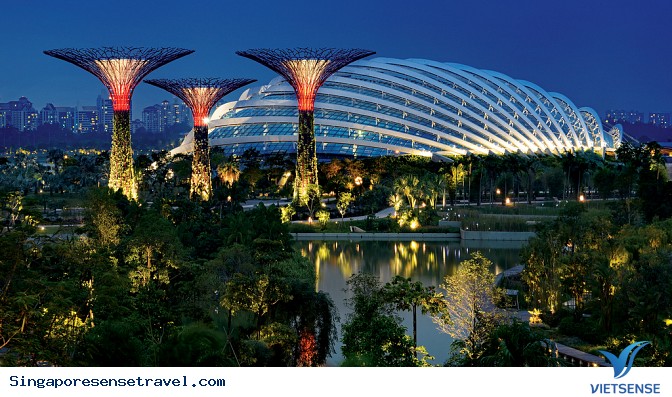 Vườn thực vật Garden by the Bay - Ảnh 1