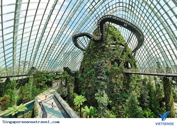 Vườn thực vật Garden by the Bay - Ảnh 3