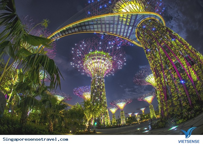 Vườn thực vật Garden by the Bay - Ảnh 4