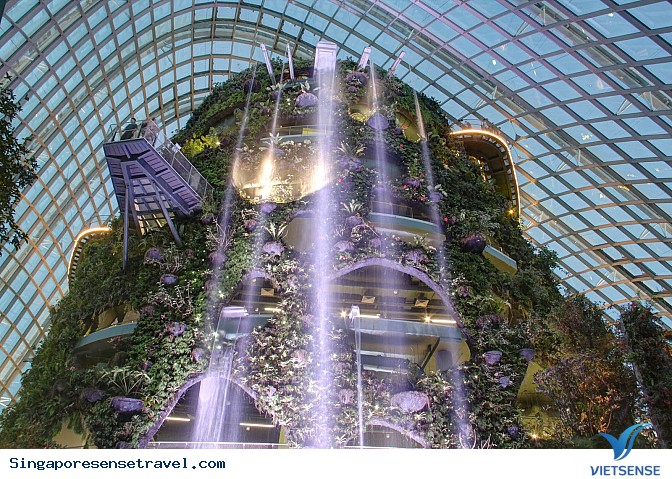 Vườn thực vật Garden by the Bay - Ảnh 5