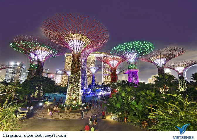 Vườn thực vật Garden by the Bay - Ảnh 2