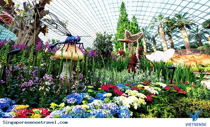 Phần 2: Khám phá Gardens by the Bay trọn vẹn và đầy đủ nhất - Ảnh 3