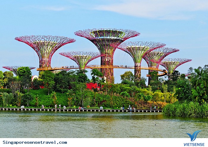 Phần 2: Khám phá Gardens by the Bay trọn vẹn và đầy đủ nhất - Ảnh 2