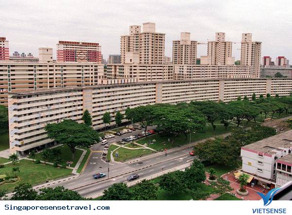 Đi Tìm Hành Trình Cá Chép Hóa Rồng Của Singapore - Ảnh 1