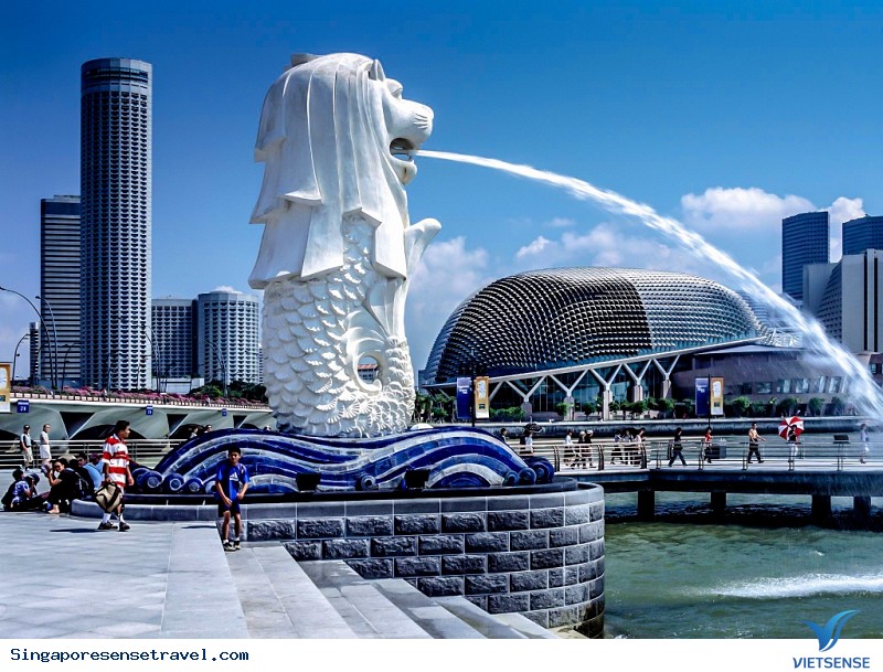 Khám Phá Nguồn Gốc Biểu Tượng Sư Tử Biển Trên Đảo Singapore