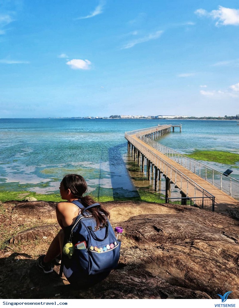Khám Phá Những Điểm Đến Thú Vị Cho khách thăm quan Yêu Động Vật Ở Singapore - Ảnh 1 Khám Phá Những Điểm Đến Thú Vị Cho khách thăm quan Yêu Động Vật Ở Singapore - Ảnh 1