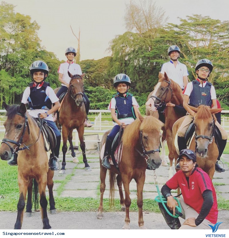 Khám Phá Những Điểm Đến Thú Vị Cho khách thăm quan Yêu Động Vật Ở Singapore - Ảnh 2 Khám Phá Những Điểm Đến Thú Vị Cho Lữ khách
Yêu Động Vật Ở Singapore - Ảnh 2