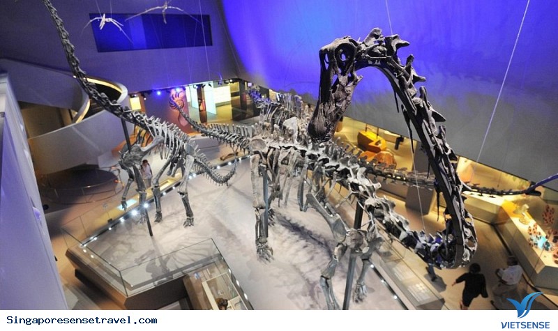 Khám Phá Những Điểm Vui Chơi Quên Sầu Tại Singapore Hè Này - Ảnh 6 Khám Phá Những Điểm Vui Chơi Quên Sầu Tại Singapore Hè Này - Ảnh 6