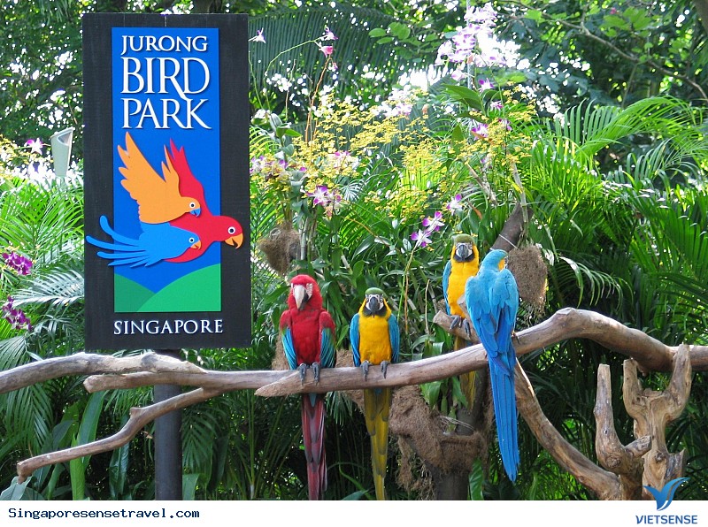 Kinh nghiệm Vivu Singapore với gia đình có con nhỏ - Ảnh 4