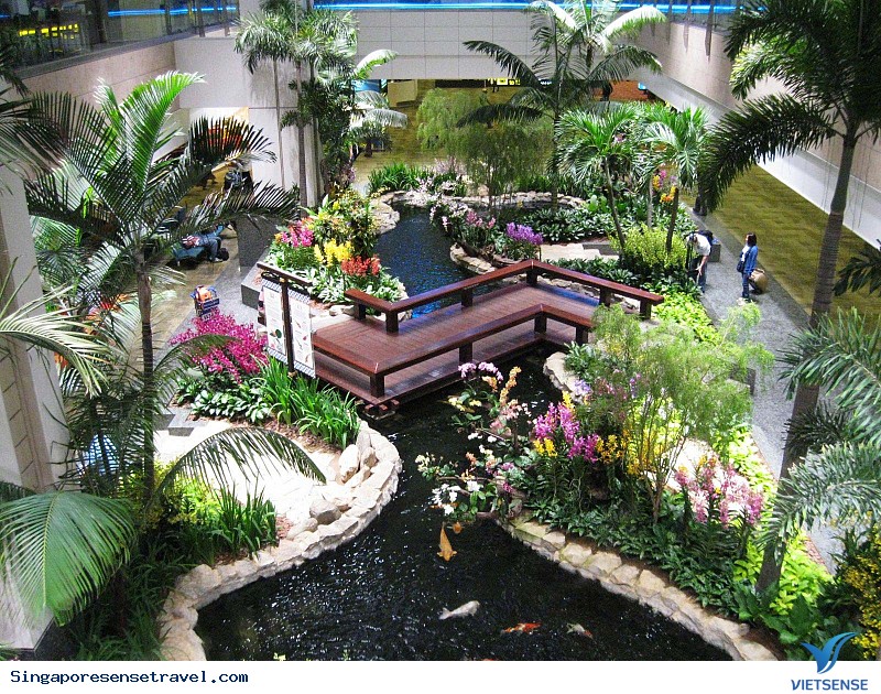 Singapore về đích về dịch vụ sân bay năm 2016 - Ảnh 2 Singapore về đích về dịch vụ sân bay năm 2016 - Ảnh 2