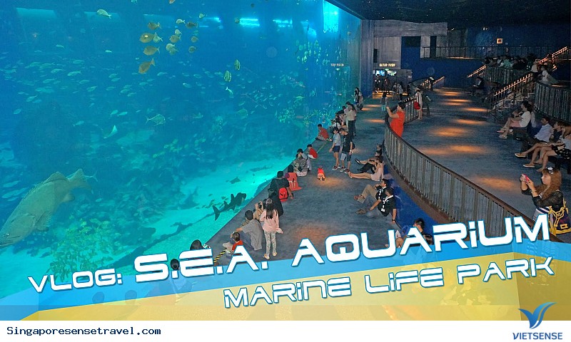 Thế giới đại dương màu nhiệm ở thủy cung lớn nhất châu Á - Ảnh 1 Thế giới đại dương màu nhiệm ở thủy cung lớn nhất châu Á - Ảnh 1