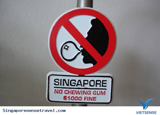 4 lưu ý quan trọng để tiết kiệm chi phí khi sang Singapore - Ảnh 3 4 lưu ý quan trọng để tiết kiệm chi phí khi sang Singapore - Ảnh 3