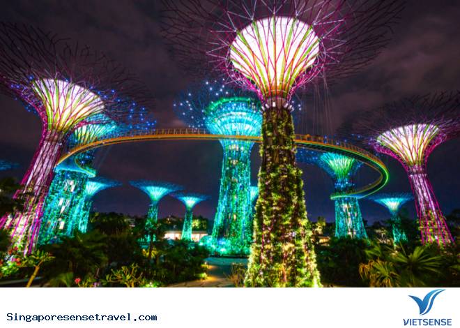 9 điều khách thăm quan nên làm khi đến Singapore - Ảnh 3