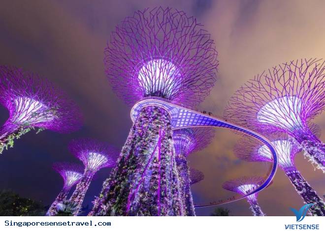Bài 2: 10 trải nghiệm miễn phí về đêm Singapore - Ảnh 3