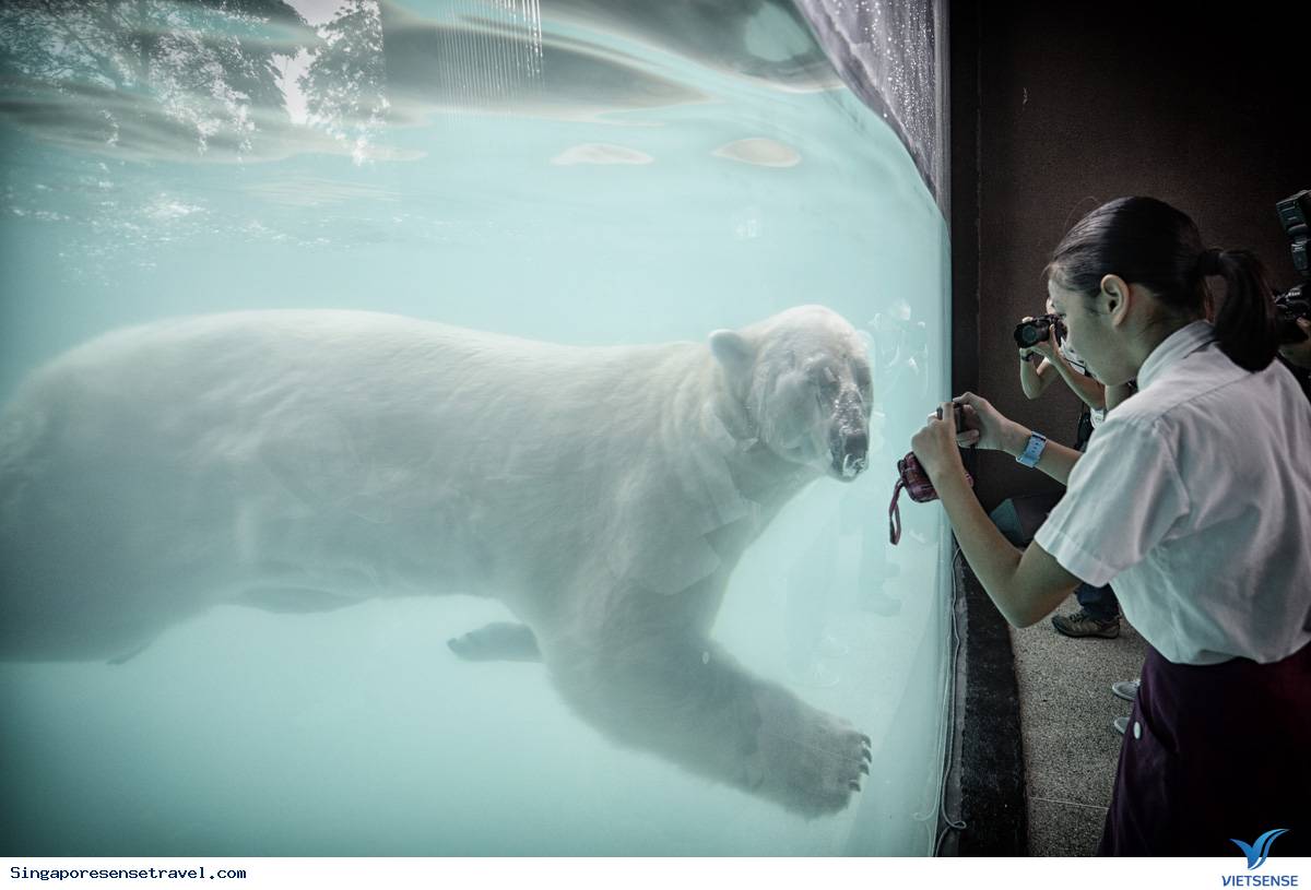 Bạn có con nhỏ hãy đưa tới 5 sở thú Singapore sau - Ảnh 2 Bạn có con nhỏ hãy đưa tới 5 sở thú Singapore sau - Ảnh 2