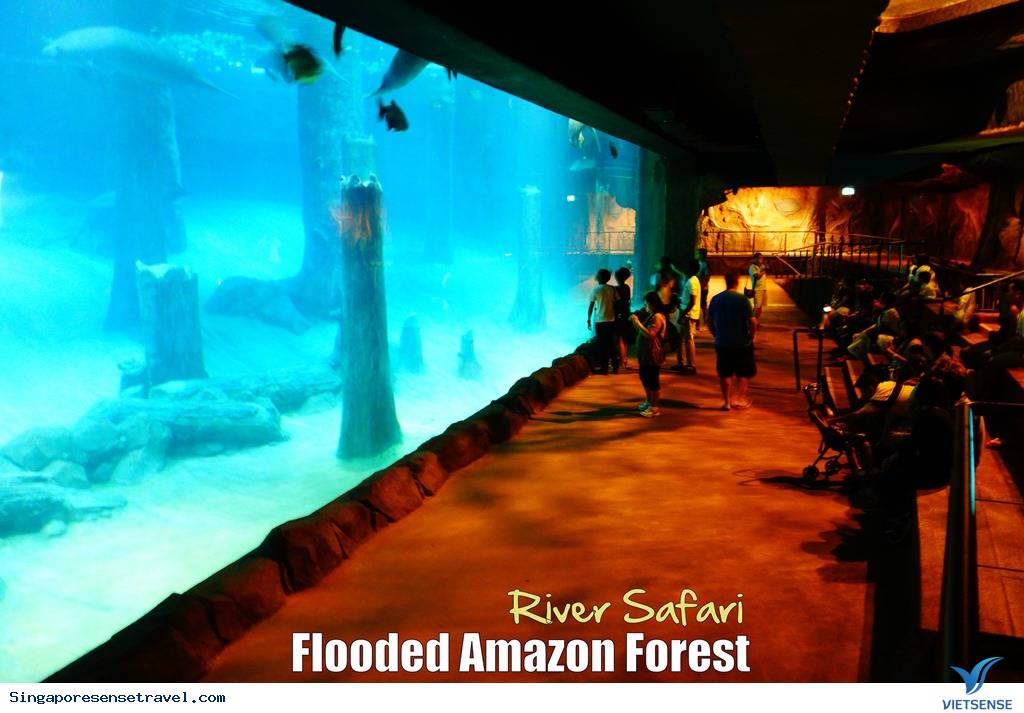 Bạn có con nhỏ hãy đưa tới 5 sở thú Singapore sau - Ảnh 5 Bạn có con nhỏ hãy đưa tới 5 sở thú Singapore sau - Ảnh 5