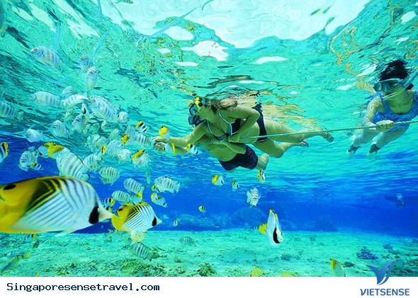 Các địa điểm tham quan nổi tiếng Malaysia - Ảnh 13 Các địa điểm tham quan nổi tiếng Malaysia - Ảnh 13