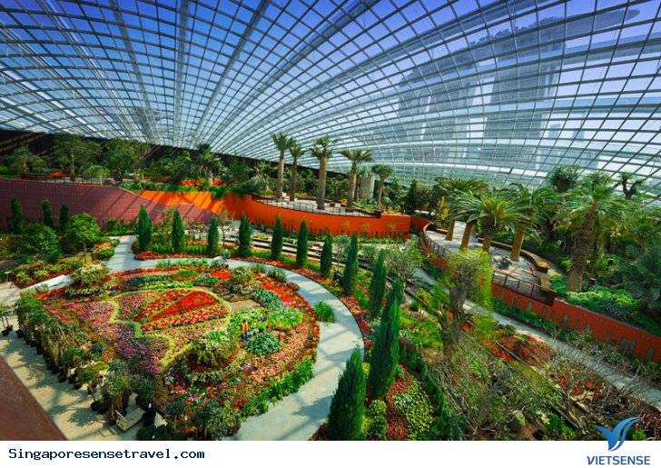 Cách khám phá Gardens by the Bay trọn vẹn và đầy đủ nhất - Ảnh 3 Cách khám phá Gardens by the Bay trọn vẹn và đầy đủ nhất - Ảnh 3