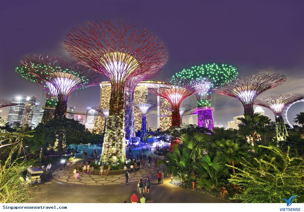 Cách khám phá Gardens by the Bay trọn vẹn và đầy đủ nhất - Ảnh 2 Cách khám phá Gardens by the Bay trọn vẹn và đầy đủ nhất - Ảnh 2