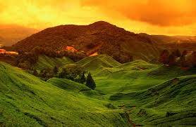 Cao nguyên Cameron - Ảnh 4 Cao nguyên Cameron - Ảnh 4