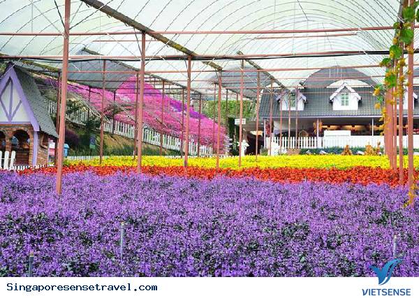 Cao nguyên Cameron - Ảnh 1 Cao nguyên Cameron - Ảnh 1