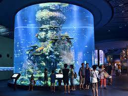 s1.jpg (259×194) s1.jpg (259×194)