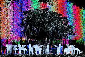 i3.jpg (276×183) i3.jpg (276×183)