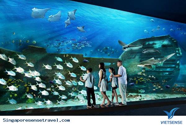 Adventure Cove Waterpark - Ảnh 1